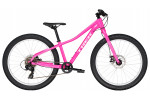 Trek Roscoe 24 (2019)