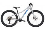 Trek Roscoe 24 (2019)